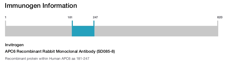 APC6 Recombinant Rabbit Monoclonal Antibody (SD085-8)