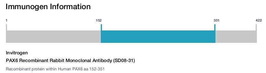 PAX6 Recombinant Rabbit Monoclonal Antibody (SD08-31)