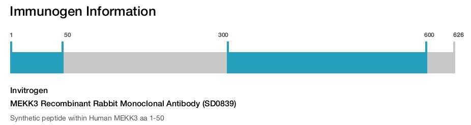 MEKK3 Recombinant Rabbit Monoclonal Antibody (SD0839)