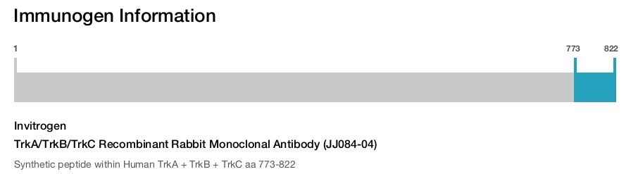 TrkA/TrkB/TrkC Recombinant Rabbit Monoclonal Antibody (JJ084-04)