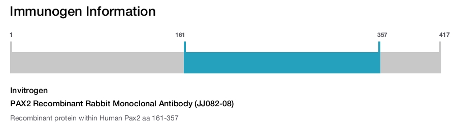 PAX2 Recombinant Rabbit Monoclonal Antibody (JJ082-08)