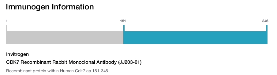 CDK7 Recombinant Rabbit Monoclonal Antibody (JJ203-01)