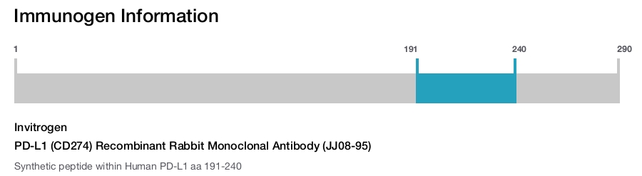 PD-L1 (CD274) Recombinant Rabbit Monoclonal Antibody (JJ08-95)