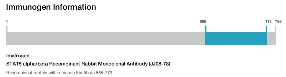 STAT5 alpha/beta Recombinant Rabbit Monoclonal Antibody (JJ08-78)