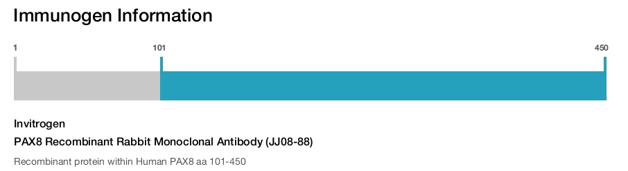PAX8 Recombinant Rabbit Monoclonal Antibody (JJ08-88)