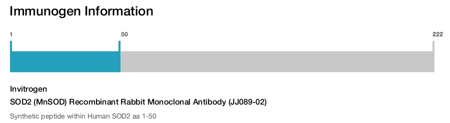 SOD2 (MnSOD) Recombinant Rabbit Monoclonal Antibody (JJ089-02)