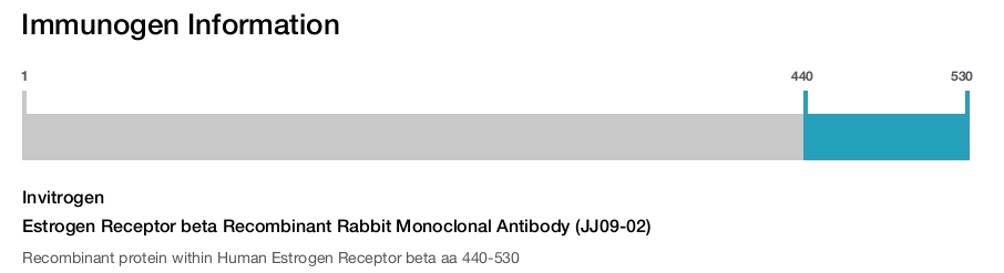 Estrogen Receptor beta Recombinant Rabbit Monoclonal Antibody (JJ09-02)