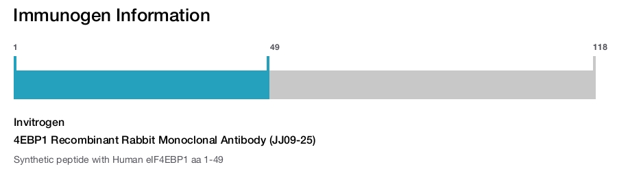 4EBP1 Recombinant Rabbit Monoclonal Antibody (JJ09-25)