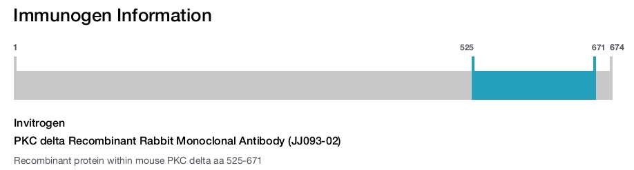 PKC delta Recombinant Rabbit Monoclonal Antibody (JJ093-02)