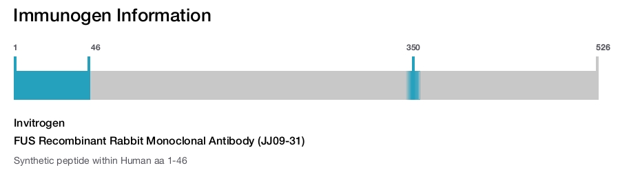 FUS Recombinant Rabbit Monoclonal Antibody (JJ09-31)