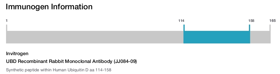 UBD Recombinant Rabbit Monoclonal Antibody (JJ084-09)