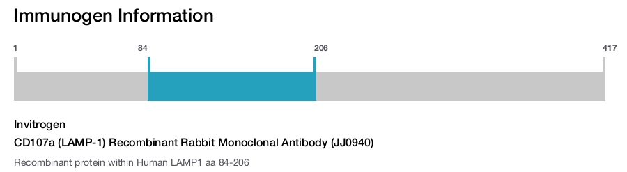 CD107a (LAMP-1) Recombinant Rabbit Monoclonal Antibody (JJ0940)