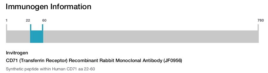CD71 (Transferrin Receptor) Recombinant Rabbit Monoclonal Antibody (JF0956)