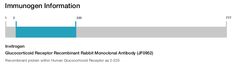 Glucocorticoid Receptor Recombinant Rabbit Monoclonal Antibody (JF0952)