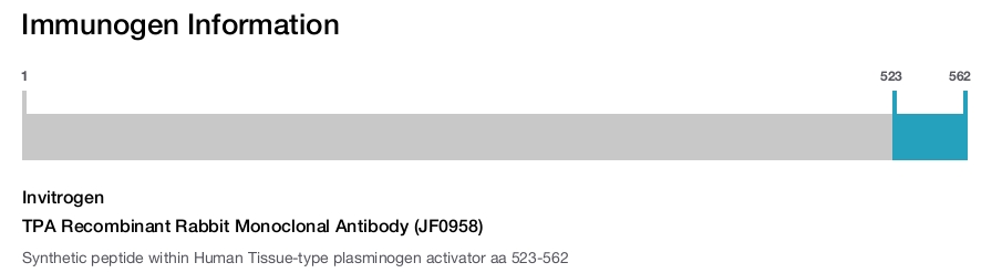 TPA Recombinant Rabbit Monoclonal Antibody (JF0958)
