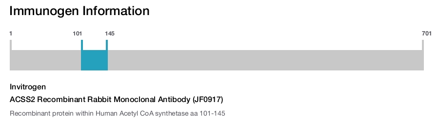 ACSS2 Recombinant Rabbit Monoclonal Antibody (JF0917)