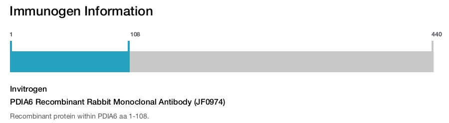 PDIA6 Recombinant Rabbit Monoclonal Antibody (JF0974)