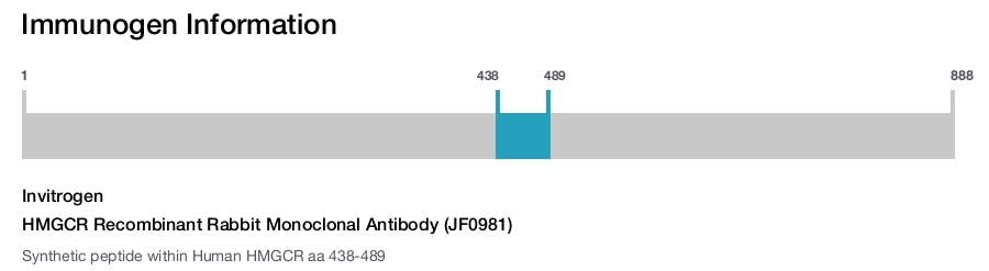 HMGCR Recombinant Rabbit Monoclonal Antibody (JF0981)