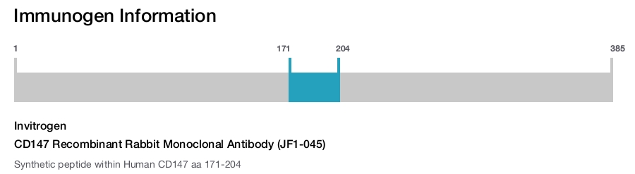CD147 Recombinant Rabbit Monoclonal Antibody (JF1-045)