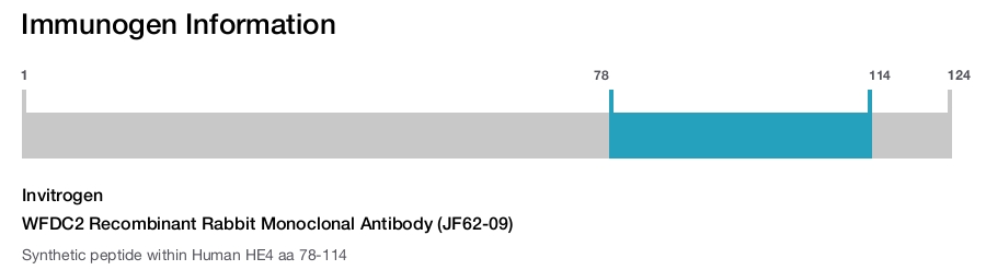 WFDC2 Recombinant Rabbit Monoclonal Antibody (JF62-09)