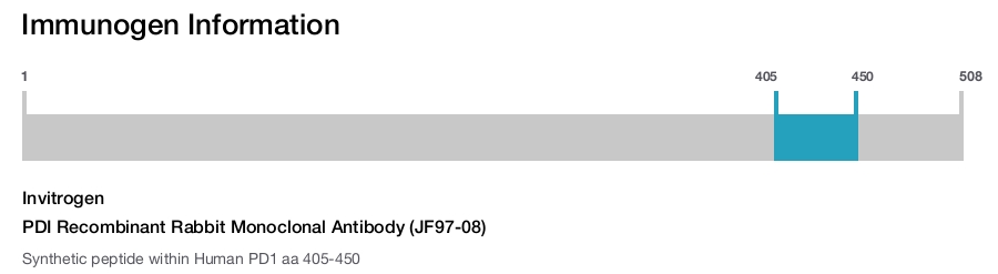 PDI Recombinant Rabbit Monoclonal Antibody (JF97-08)
