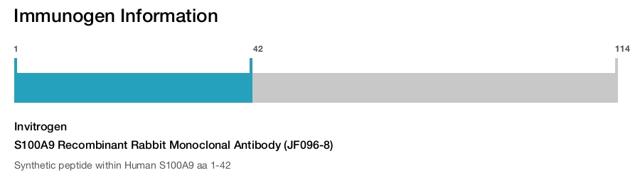 S100A9 Recombinant Rabbit Monoclonal Antibody (JF096-8)