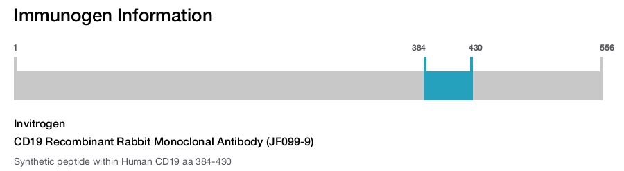 CD19 Recombinant Rabbit Monoclonal Antibody (JF099-9)