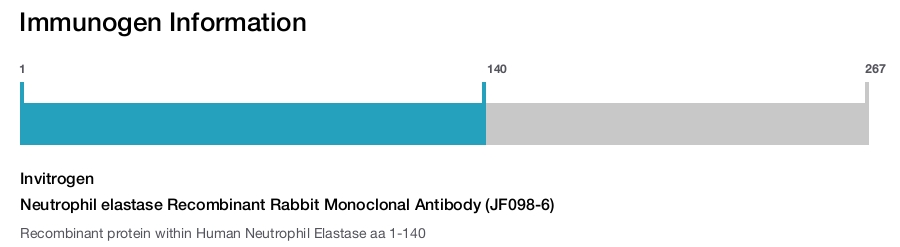 Neutrophil elastase Recombinant Rabbit Monoclonal Antibody (JF098-6)