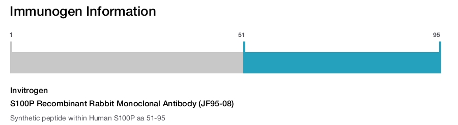 S100P Recombinant Rabbit Monoclonal Antibody (JF95-08)