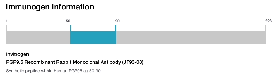 PGP9.5 Recombinant Rabbit Monoclonal Antibody (JF93-08)