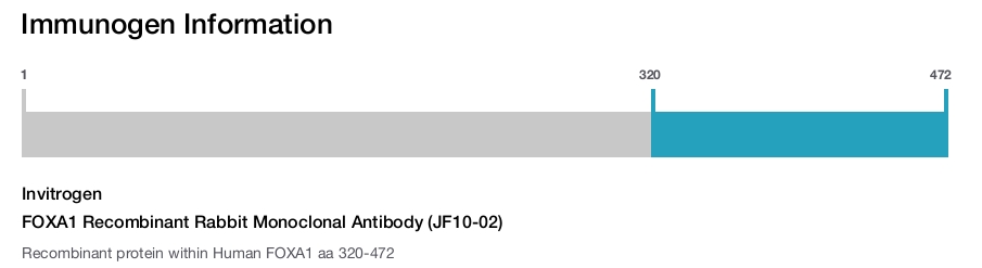 FOXA1 Recombinant Rabbit Monoclonal Antibody (JF10-02)