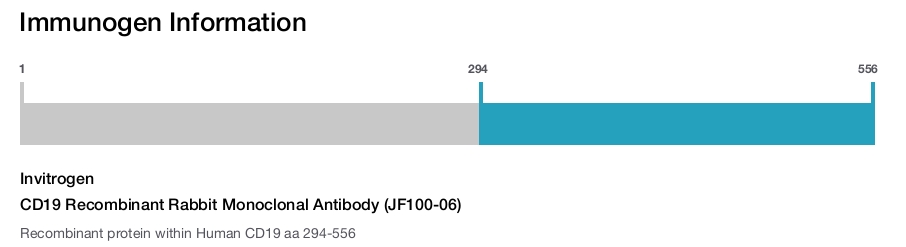 CD19 Recombinant Rabbit Monoclonal Antibody (JF100-06)