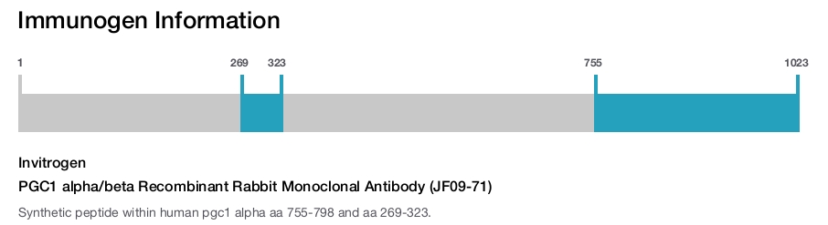 PGC1 alpha/beta Recombinant Rabbit Monoclonal Antibody (JF09-71)