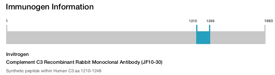 Complement C3 Recombinant Rabbit Monoclonal Antibody (JF10-30)