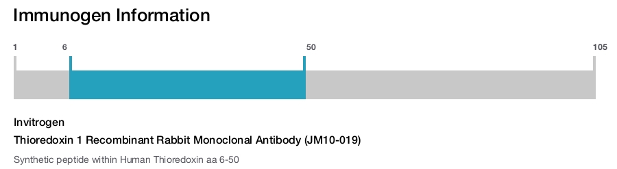 Thioredoxin 1 Recombinant Rabbit Monoclonal Antibody (JM10-019)