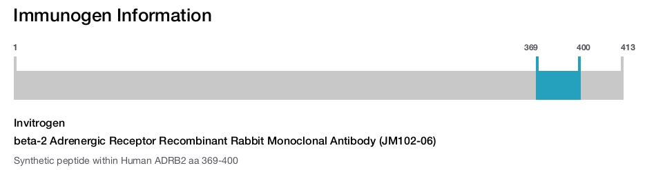 beta-2 Adrenergic Receptor Recombinant Rabbit Monoclonal Antibody (JM102-06)