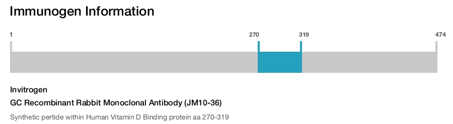 GC Recombinant Rabbit Monoclonal Antibody (JM10-36)