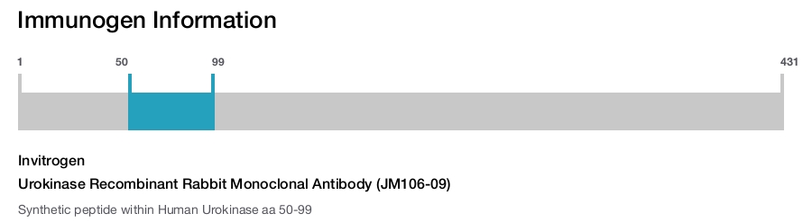 Urokinase Recombinant Rabbit Monoclonal Antibody (JM106-09)