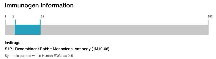 S1P1 Recombinant Rabbit Monoclonal Antibody (JM10-66)