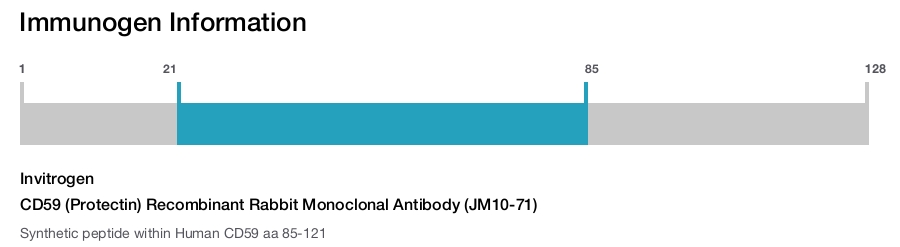 CD59 (Protectin) Recombinant Rabbit Monoclonal Antibody (JM10-71)