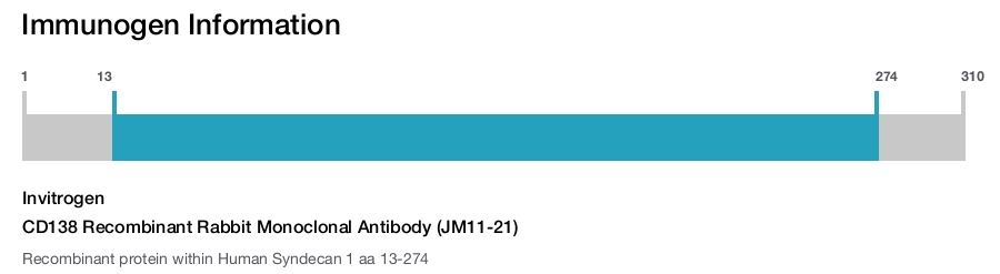 CD138 Recombinant Rabbit Monoclonal Antibody (JM11-21)
