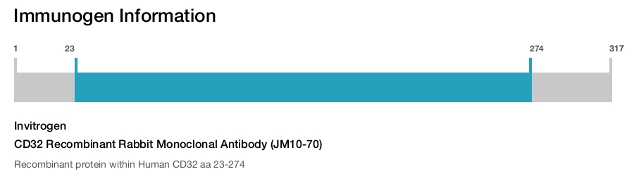 CD32 Recombinant Rabbit Monoclonal Antibody (JM10-70)