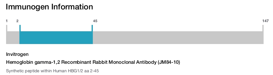 Hemoglobin gamma-1,2 Recombinant Rabbit Monoclonal Antibody (JM84-10)