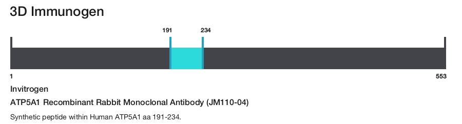 ATP5A1 Recombinant Rabbit Monoclonal Antibody (JM110-04)