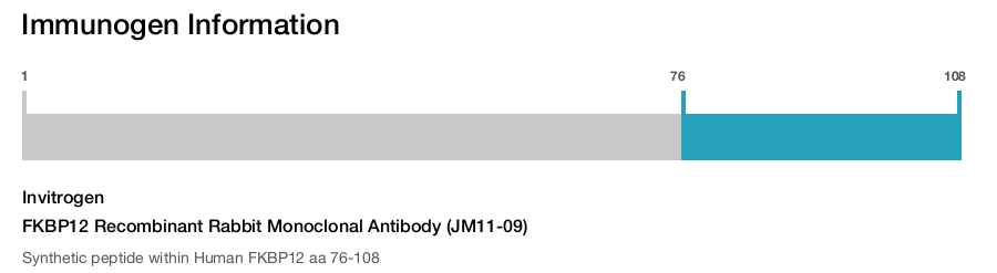 FKBP12 Recombinant Rabbit Monoclonal Antibody (JM11-09)
