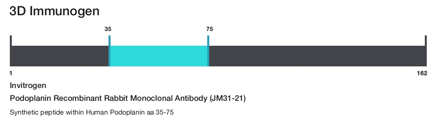 Podoplanin Recombinant Rabbit Monoclonal Antibody (JM31-21)