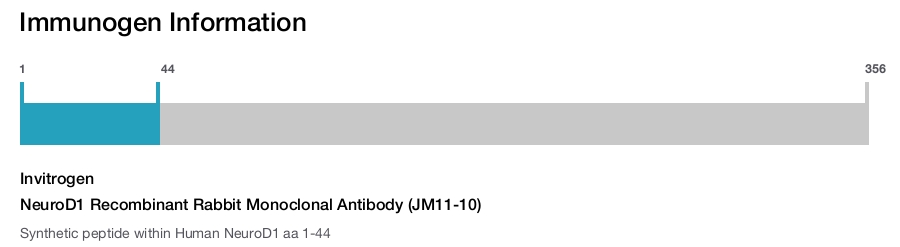 NeuroD1 Recombinant Rabbit Monoclonal Antibody (JM11-10)