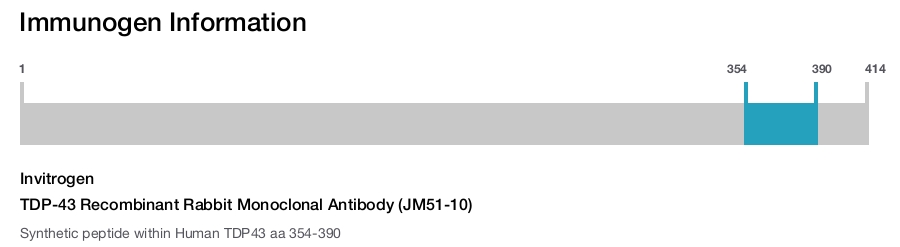 TDP-43 Recombinant Rabbit Monoclonal Antibody (JM51-10)