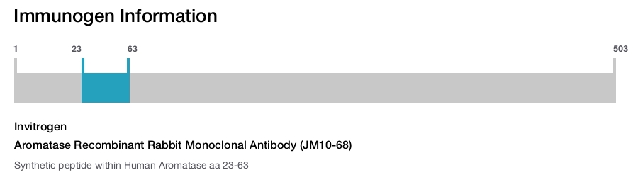 Aromatase Recombinant Rabbit Monoclonal Antibody (JM10-68)