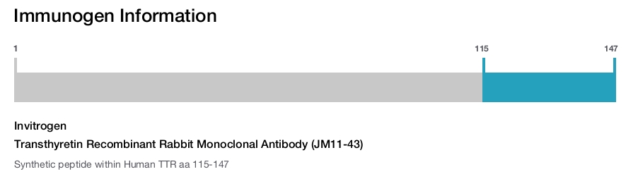 Transthyretin Recombinant Rabbit Monoclonal Antibody (JM11-43)